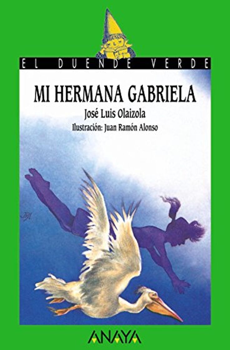 Libros Mi hermana Gabriela