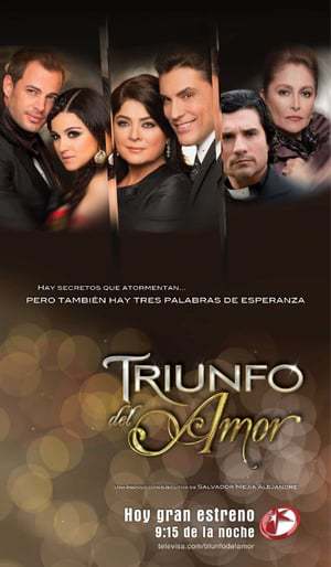 Serie Triunfo del amor (2010)