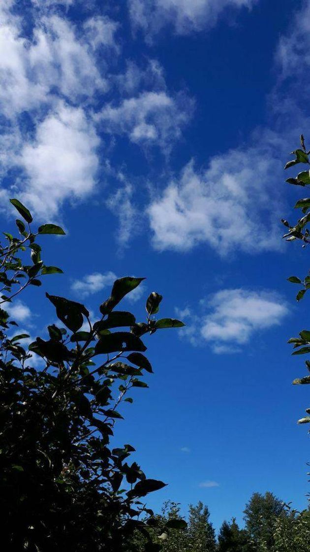 Moda Fotos de céu para usar