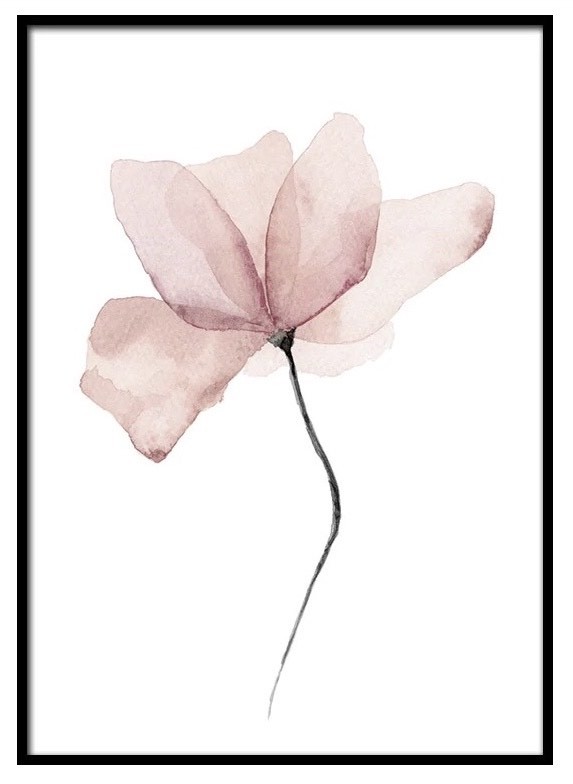AQUARELLE FLOWER POSTER