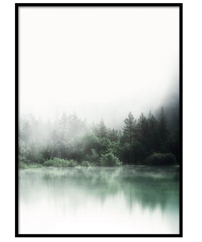 FOREST REFLECTIONS POSTER