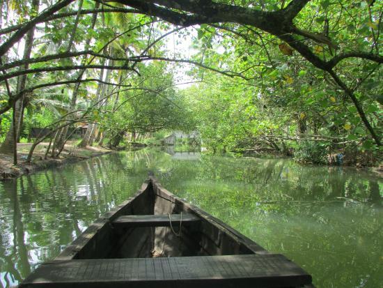 Place Backwaters Canal Cruises, Munroe Island (Munroe thuruthu) - Village tour in Kerala Canoe