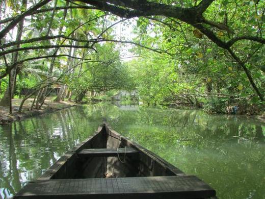 Backwaters Canal Cruises, Munroe Island (Munroe thuruthu) - Village tour in Kerala Canoe