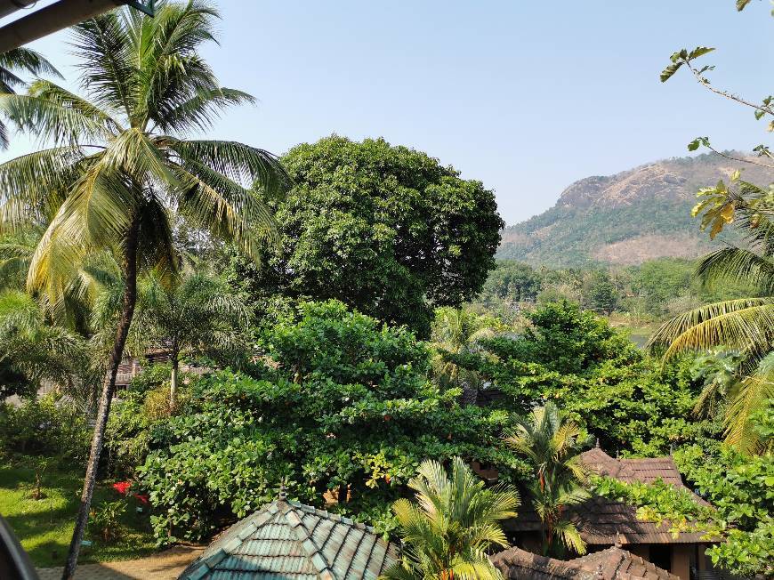 Places Madukkakuzhy Ayurveda Lake & Mountains