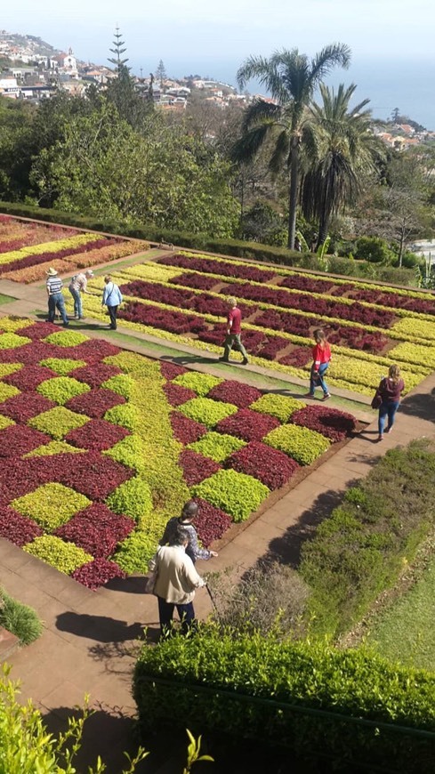 Place Jardín Botánico de Madeira