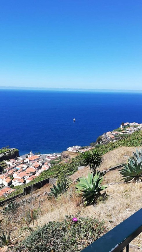 Place Câmara De Lobos