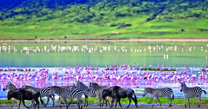 Lugar Ngorongoro Crater