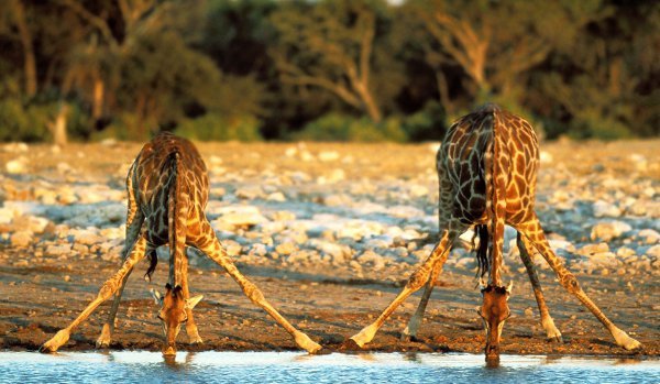 Lugar Parque nacional Kruger
