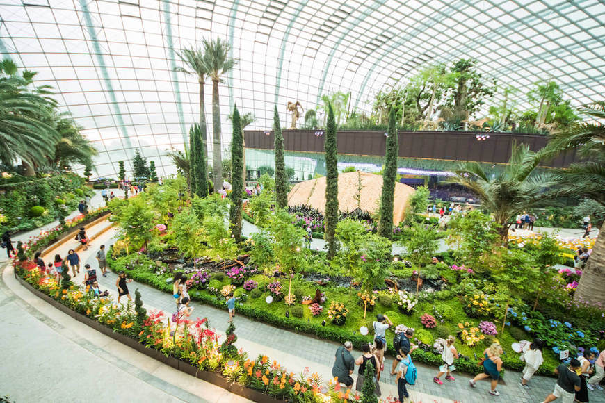 Lugar Garden by the Bay - Orchid Extravaganza