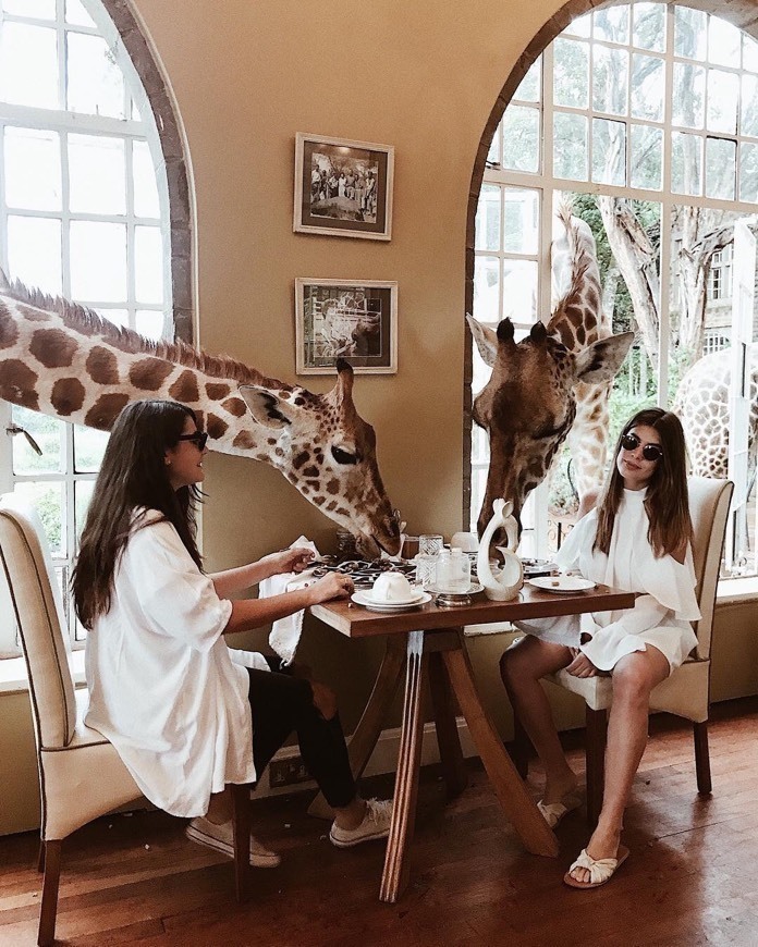 Lugar Giraffe Manor