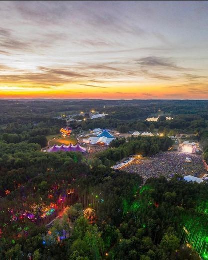 Electric forest festival 
