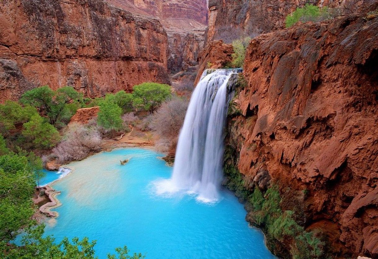 Place Havasu Falls