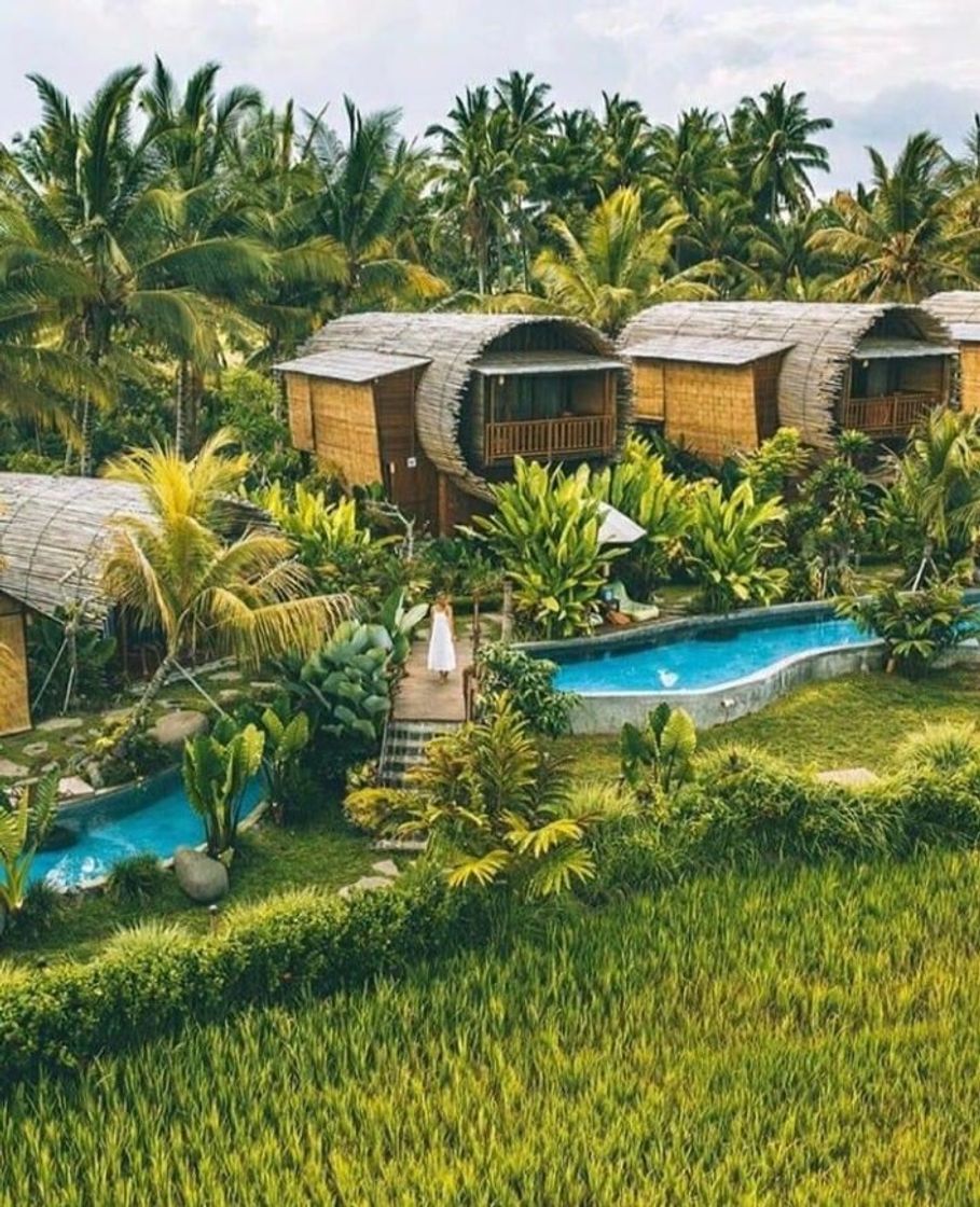 Ubud Resort