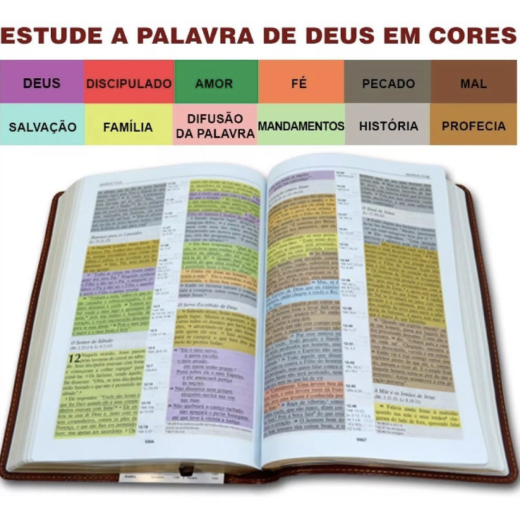 Book Bíblia De Estudo Colorida Nvi Letra Grande 