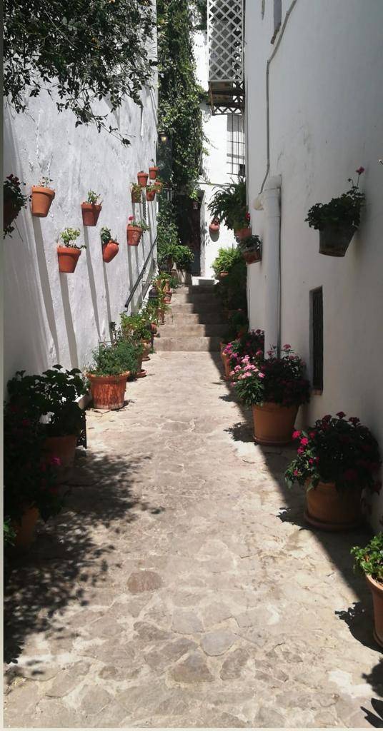 Lugar Vejer de la Frontera