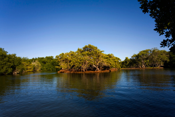 Place Parque nacional Laguna de La Restinga