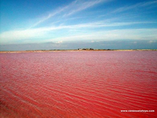 Salinas de Cumaragua