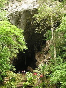 Place Parque Nacional El Guácharo