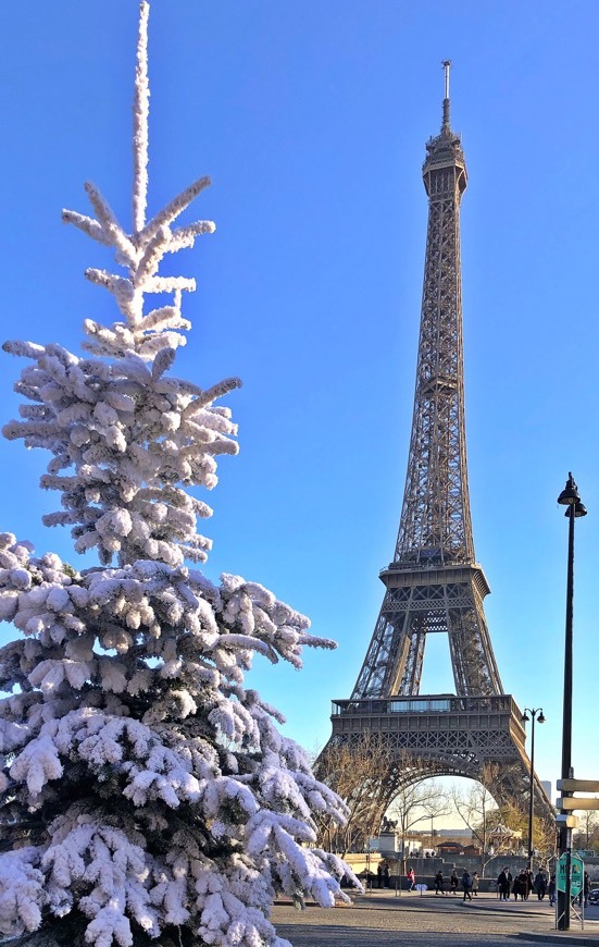 Place Eiffel Tower