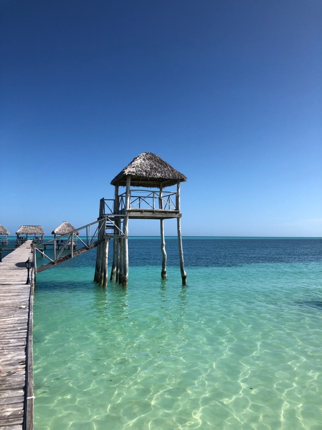 Lugar Cayo Coco