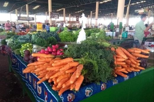 Feira do Produtor de Tangará da Serra