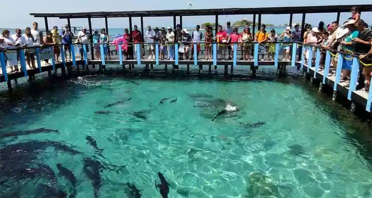 Place ¿ Dónde salir a divertirse en Cartagena de Indias ? - Cartagena-Indias