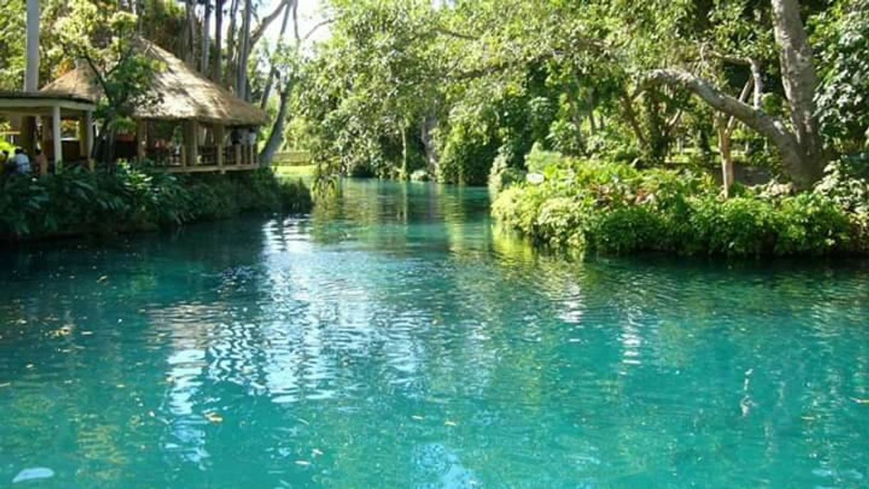 Lugar Praia Fluvial do Alamal