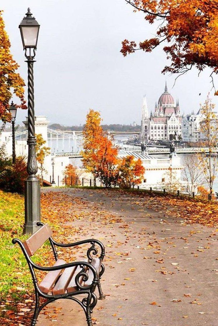 Place _
