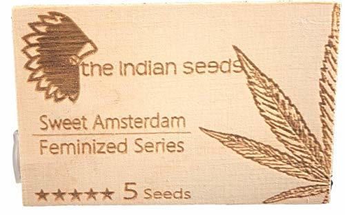 Sweet Ámsterdam - surtido de 5 semillas fem. para interior