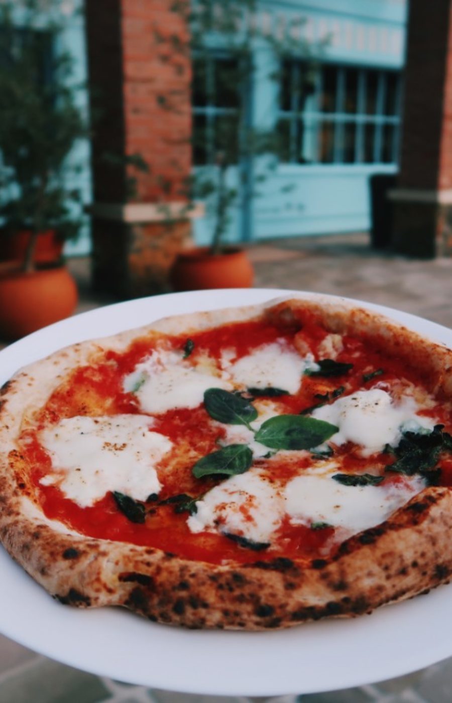 Restaurantes Pizzaria Porto Cara de Mau