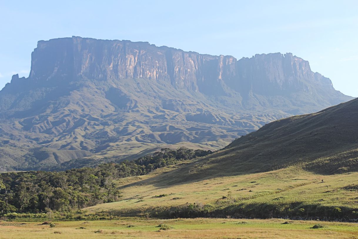 Place Tepui