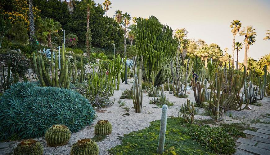 Lugar Jardines de Mossen Costa i Llobera