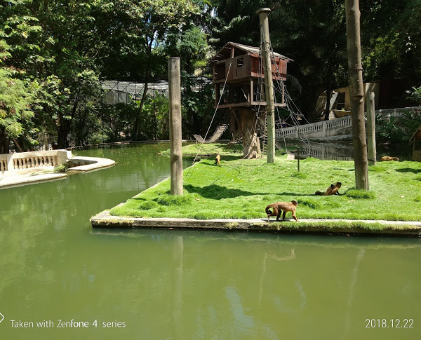 Lugar Parque Zoobotânico Arruda Câmara (Bica)