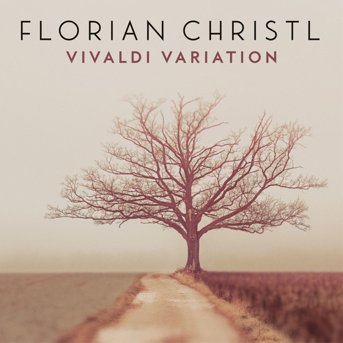 Music Vivaldi Variation (Arr. for Piano from Concerto for Strings in G Minor, RV 156 by F. Christl)