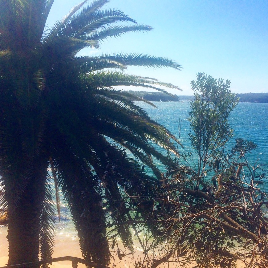 Lugares Lady Bay Beach