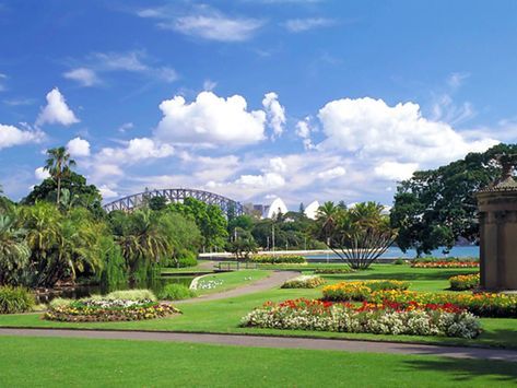 Lugar Real Jardín Botánico de Sídney