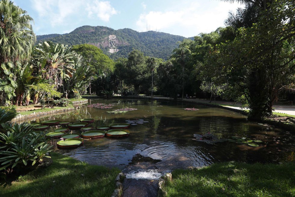 Lugar Jardim Botânico