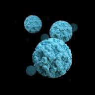 Coronavirus Tracker
