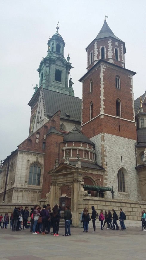 Place Castillo de Wawel