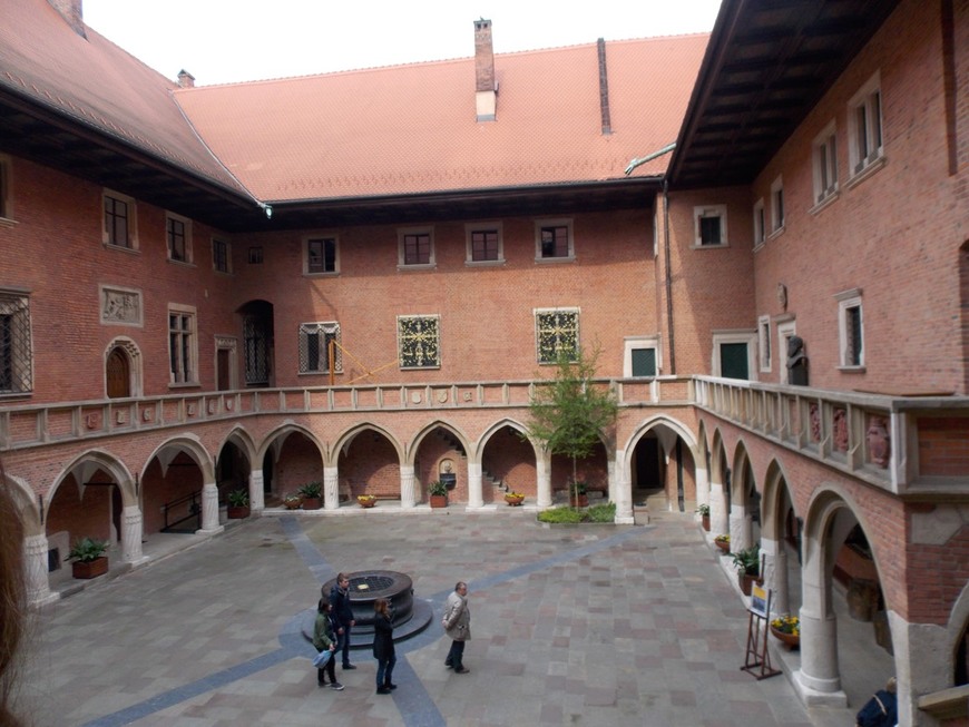 Place Collegium Maius