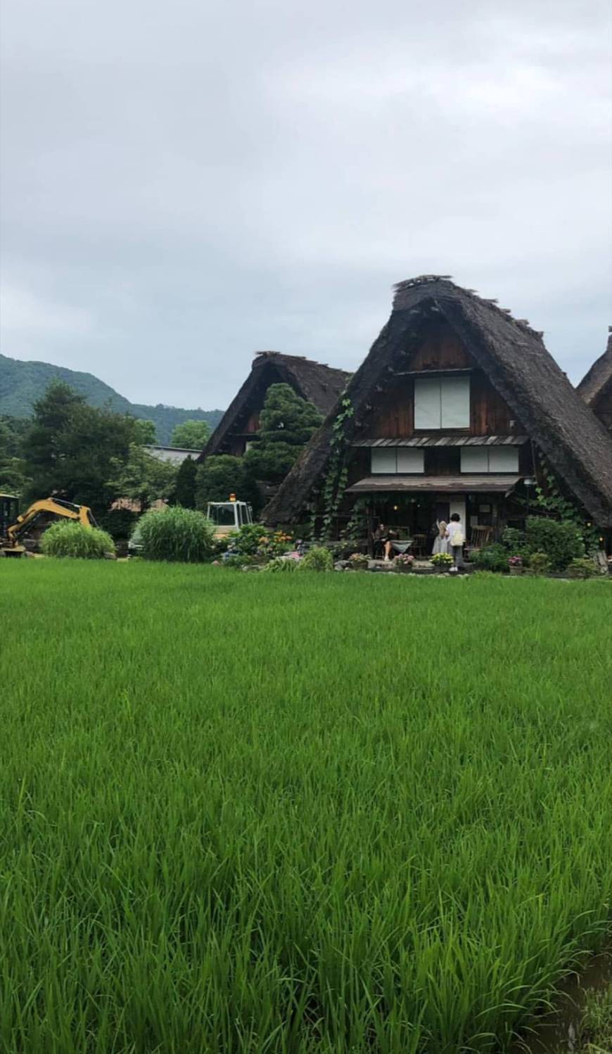Place Japón