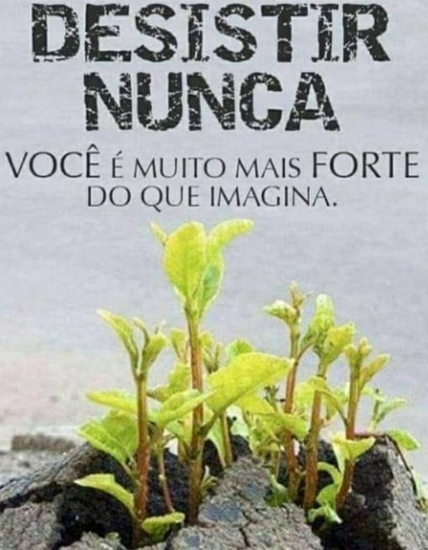 Moda Motivação 1