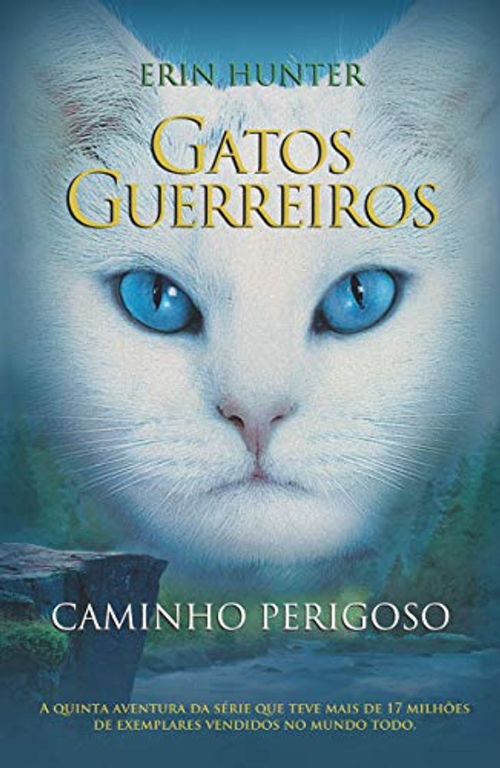 Libros Gatos Guerreiros