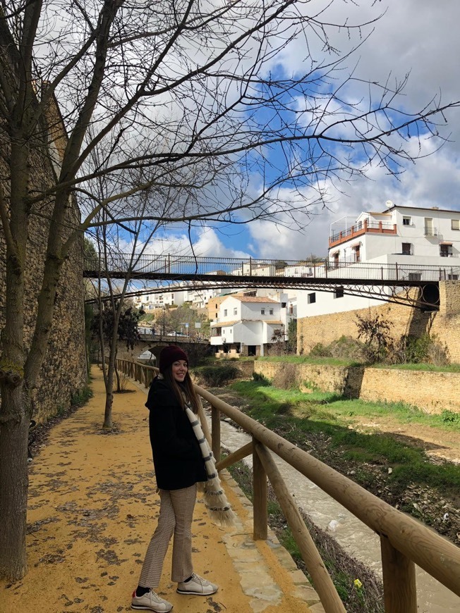 Lugar Setenil de las Bodegas