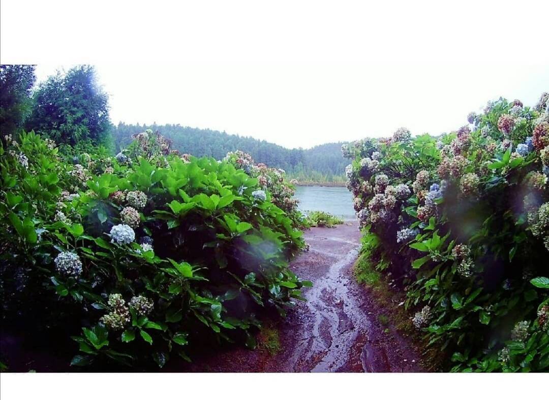 Place Lagoa do Canário