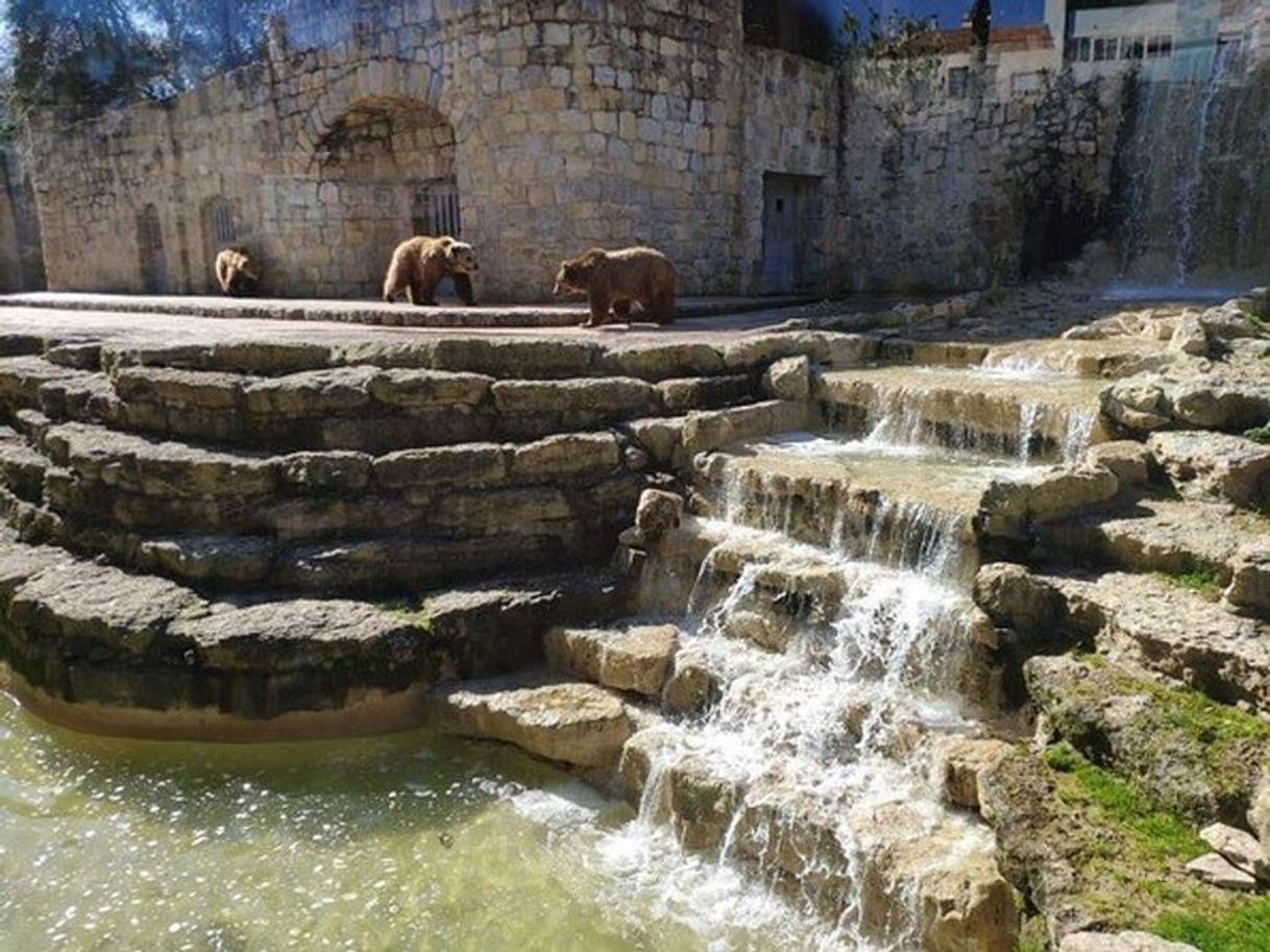 Place Jardim Zoológico de Lisboa