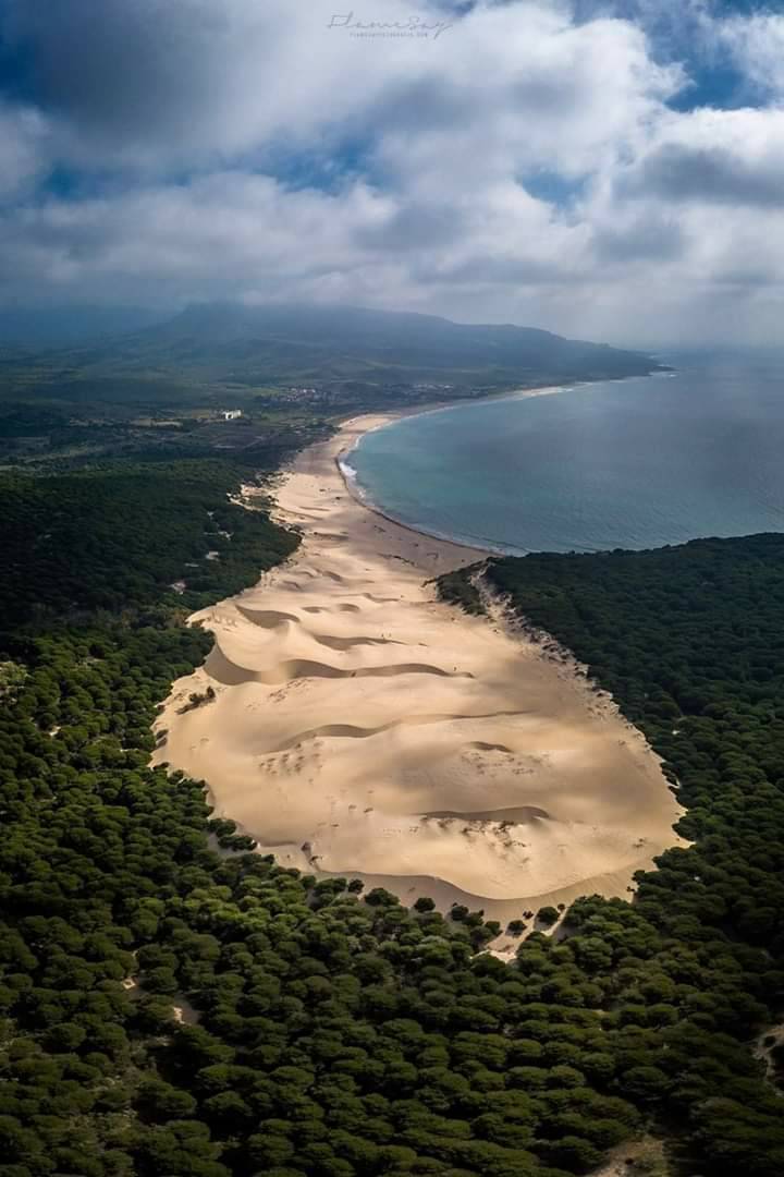 Place Bolonia