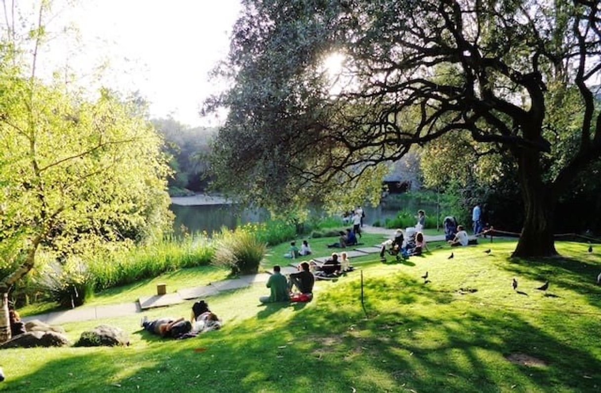 Moda Jardim Gulbenkian☘️