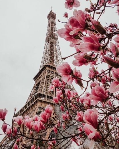 Paris, France 🇫🇷 