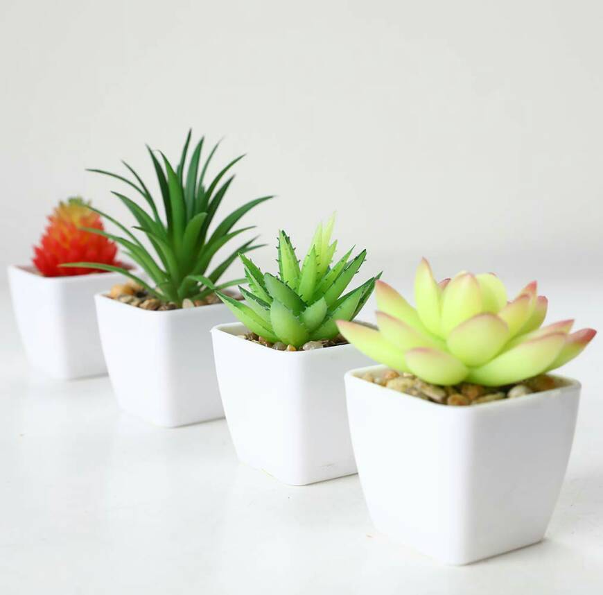 Social Plantas Decorativas de Plástico